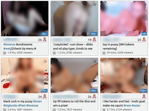 chaturbate members liveshows